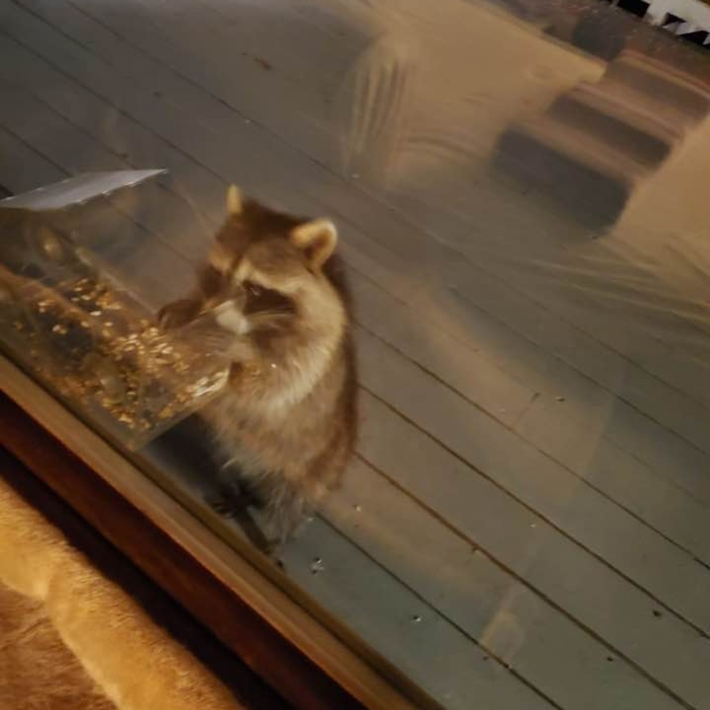 Meet your Posher, Mael